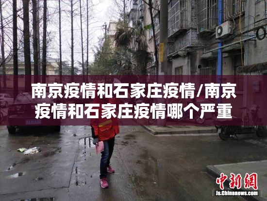 南京疫情和石家庄疫情/南京疫情和石家庄疫情哪个严重