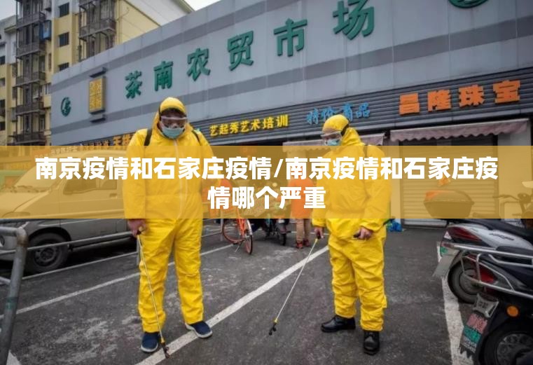 南京疫情和石家庄疫情/南京疫情和石家庄疫情哪个严重