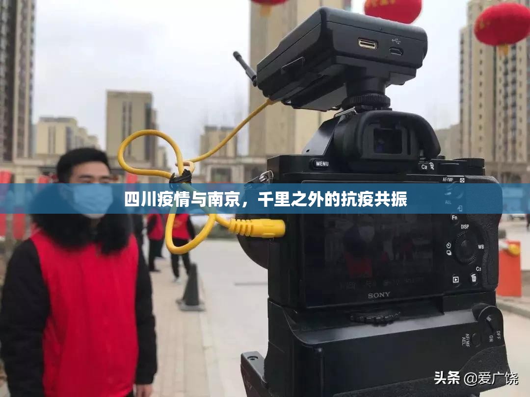 四川疫情与南京，千里之外的抗疫共振