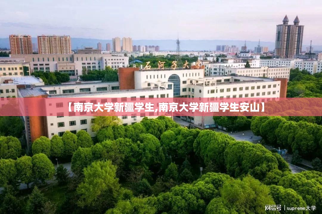 【南京大学新疆学生,南京大学新疆学生安山】
