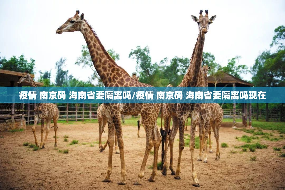 疫情 南京码 海南省要隔离吗/疫情 南京码 海南省要隔离吗现在