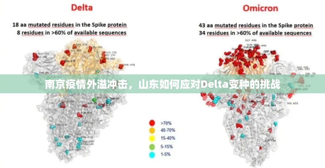南京疫情外溢冲击，山东如何应对Delta变种的挑战
