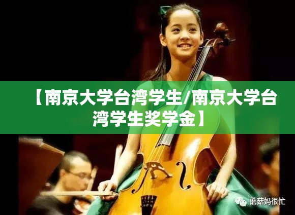 【南京大学台湾学生/南京大学台湾学生奖学金】