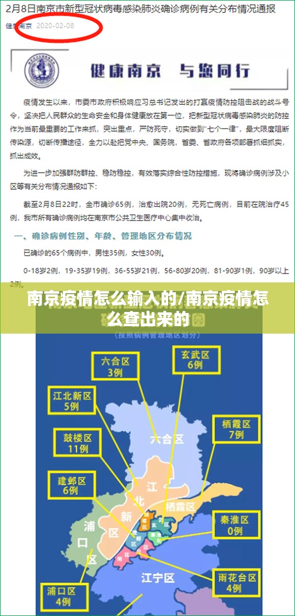 南京疫情怎么输入的/南京疫情怎么查出来的