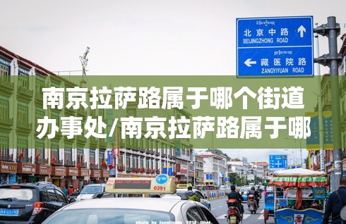 南京拉萨路属于哪个街道办事处/南京拉萨路属于哪个街道