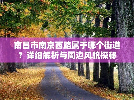 南昌市南京西路属于哪个街道？详细解析与周边风貌探秘