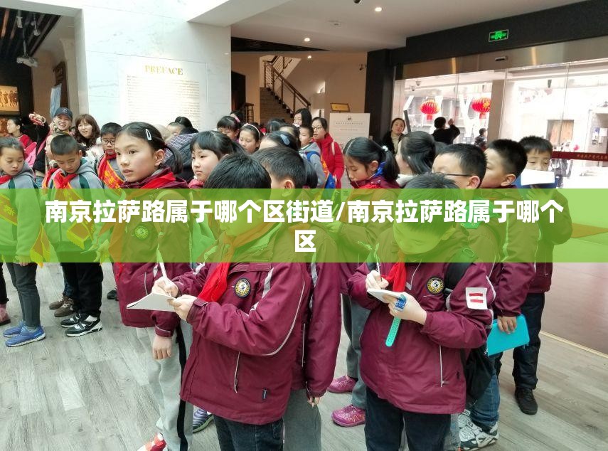 南京拉萨路属于哪个区街道/南京拉萨路属于哪个区