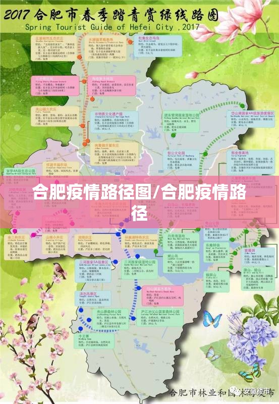 合肥疫情路径图/合肥疫情路径