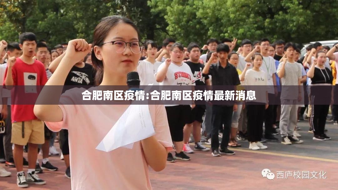 合肥南区疫情:合肥南区疫情最新消息