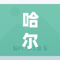 哈尔滨南京西路属于哪个区/哈尔滨南京西路规划
