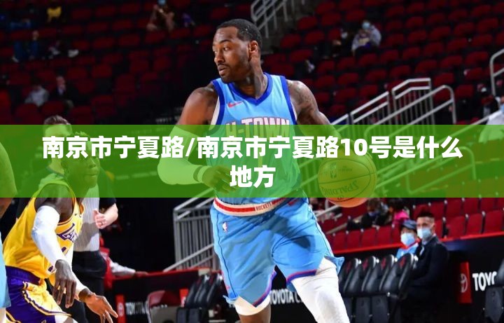 南京市宁夏路/南京市宁夏路10号是什么地方