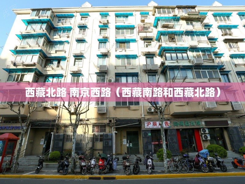 西藏北路 南京西路（西藏南路和西藏北路）
