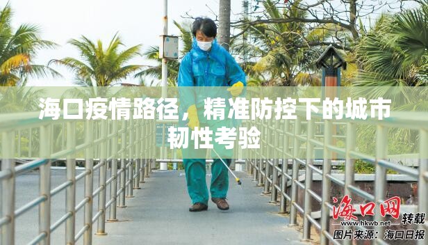 海口疫情路径，精准防控下的城市韧性考验