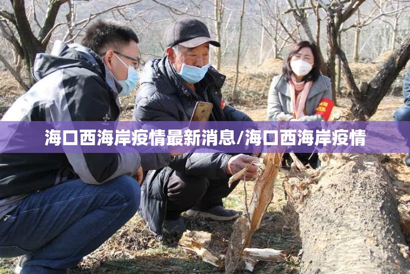 海口西海岸疫情最新消息/海口西海岸疫情