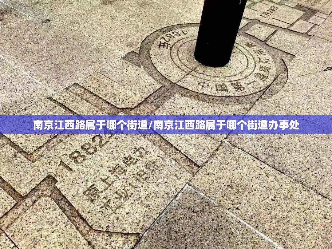 沈阳鸡架与银川疫情下的美食坚守，最新动态与文化思考