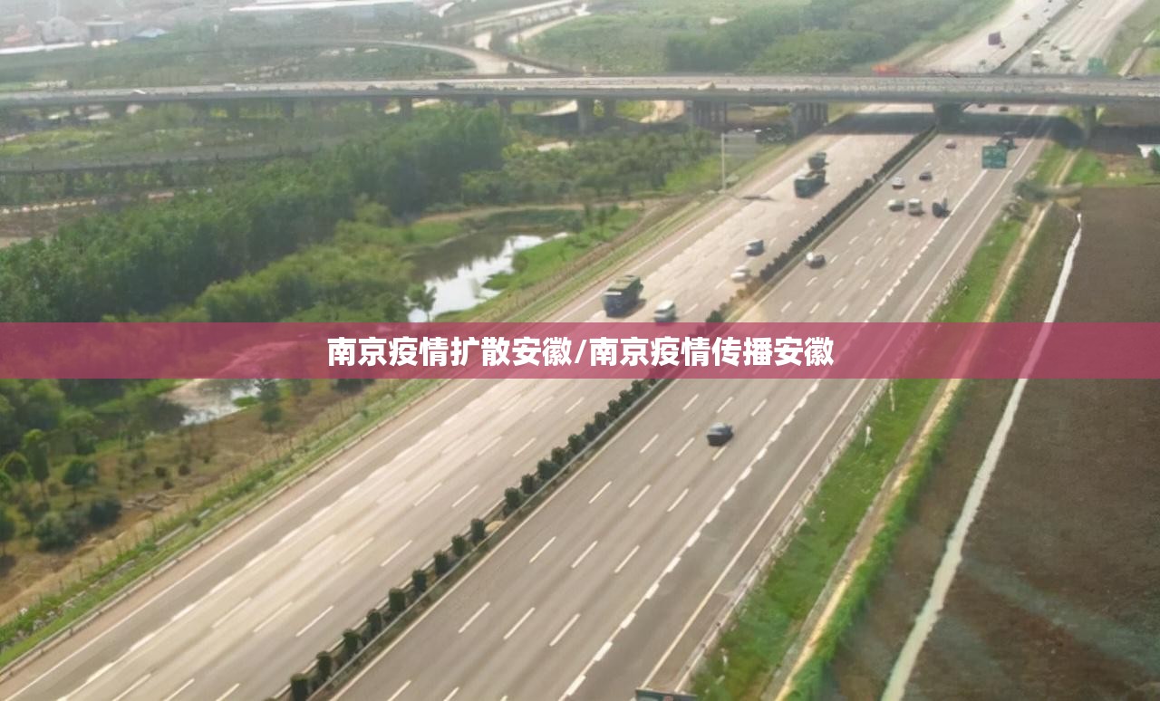 南京疫情扩散安徽/南京疫情传播安徽