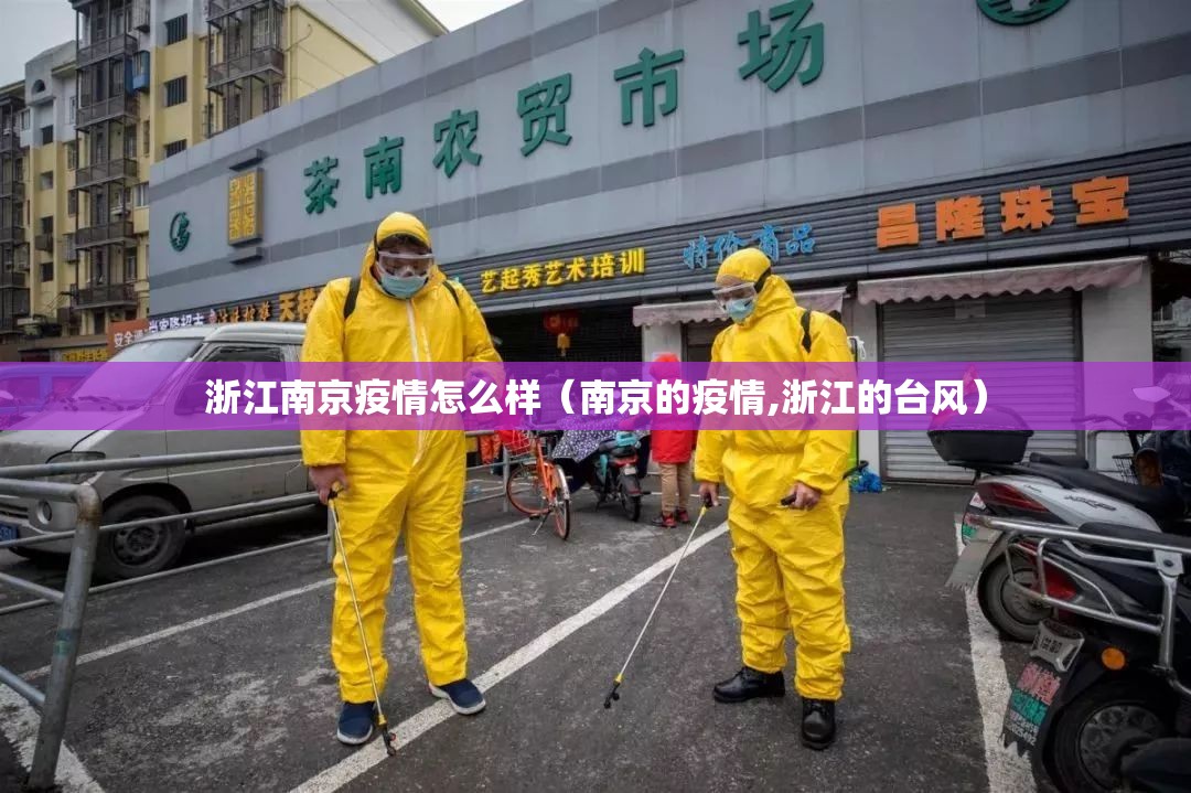 浙江南京疫情怎么样（南京的疫情,浙江的台风）
