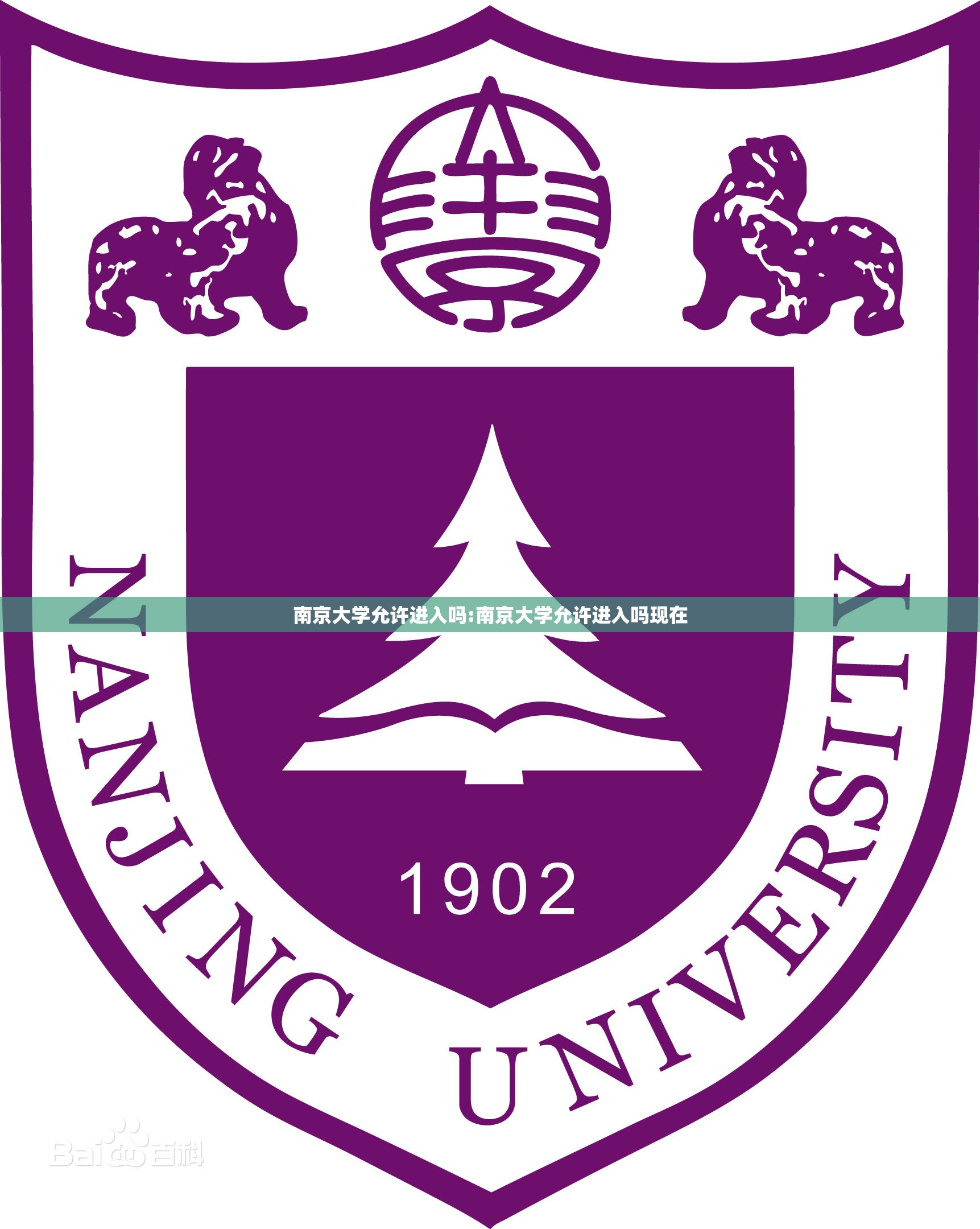 南京大学允许进入吗:南京大学允许进入吗现在