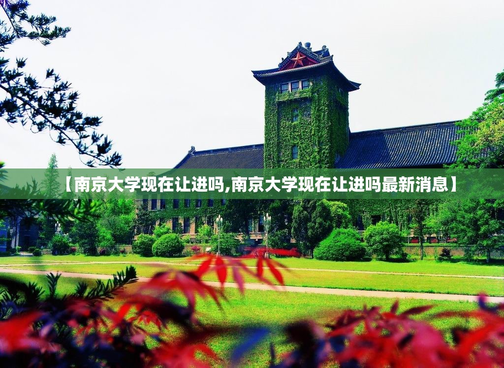 【南京大学现在让进吗,南京大学现在让进吗最新消息】