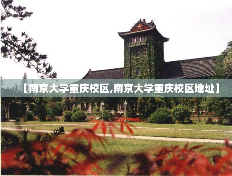 【南京大学重庆校区,南京大学重庆校区地址】