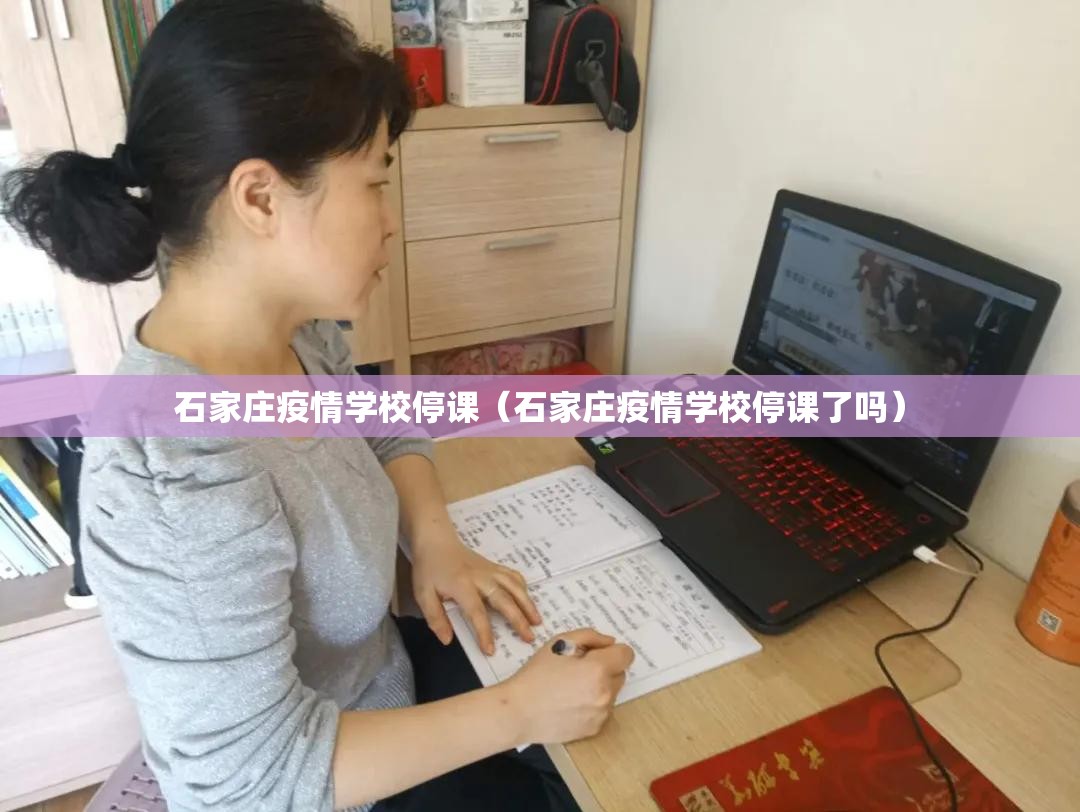 石家庄疫情学校停课（石家庄疫情学校停课了吗）
