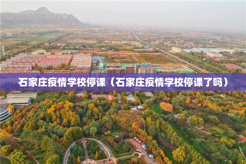 石家庄疫情学校停课（石家庄疫情学校停课了吗）