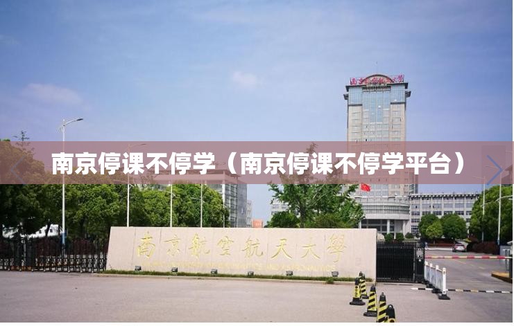 南京停课不停学（南京停课不停学平台）