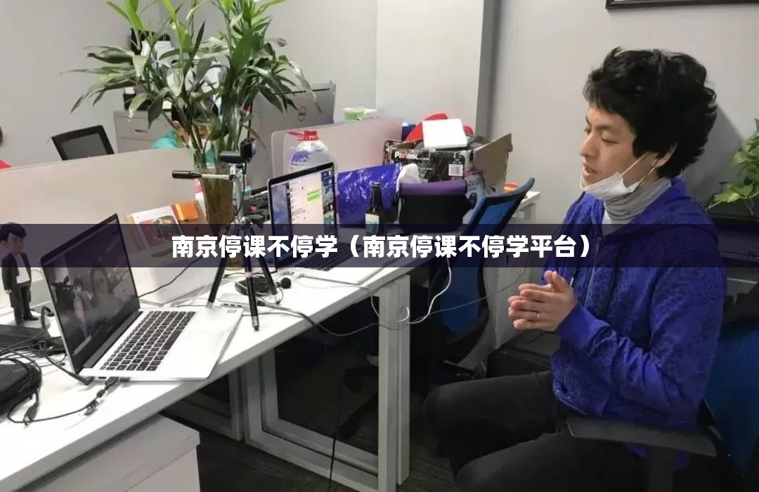 南京停课不停学（南京停课不停学平台）