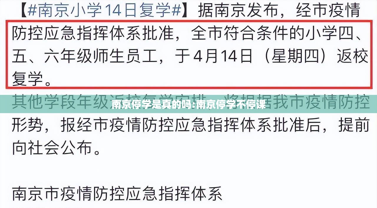 南京停学是真的吗:南京停学不停课