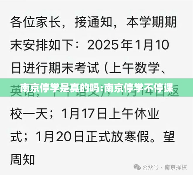 南京停学是真的吗:南京停学不停课
