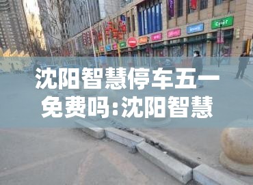 沈阳智慧停车五一免费吗:沈阳智慧停车五一免费吗现在