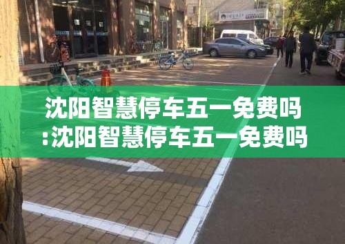 沈阳智慧停车五一免费吗:沈阳智慧停车五一免费吗现在