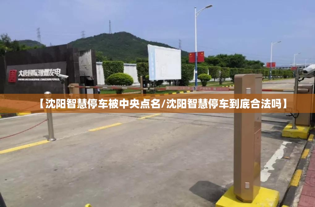 【沈阳智慧停车被中央点名/沈阳智慧停车到底合法吗】