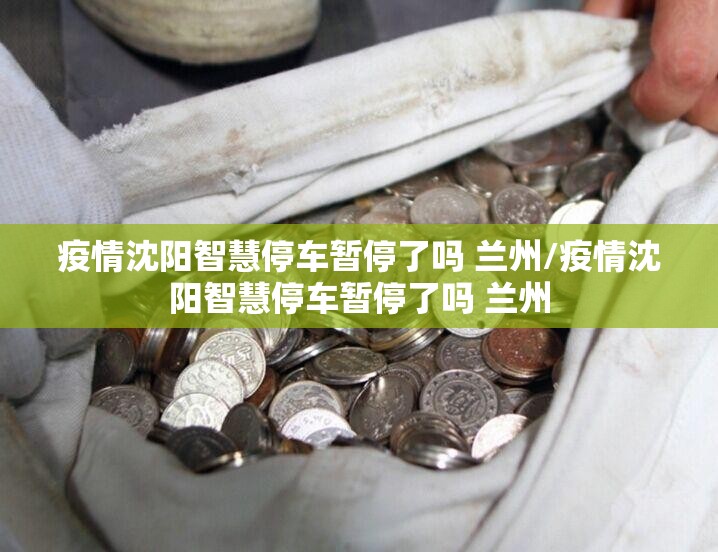 疫情沈阳智慧停车暂停了吗 兰州/疫情沈阳智慧停车暂停了吗 兰州