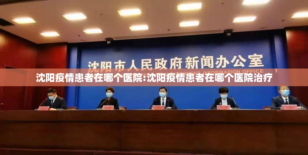沈阳疫情患者在哪个医院:沈阳疫情患者在哪个医院治疗