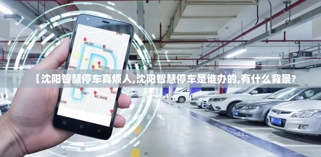 【沈阳智慧停车真烦人,沈阳智慧停车是谁办的,有什么背景?