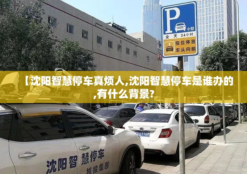 【沈阳智慧停车真烦人,沈阳智慧停车是谁办的,有什么背景?