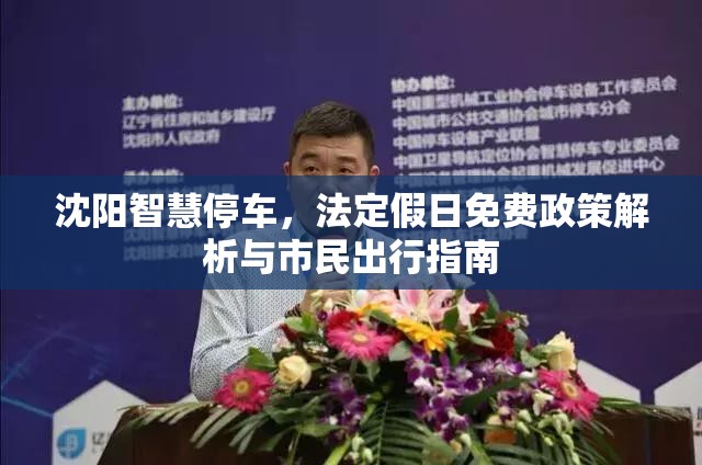 沈阳智慧停车，法定假日免费政策解析与市民出行指南
