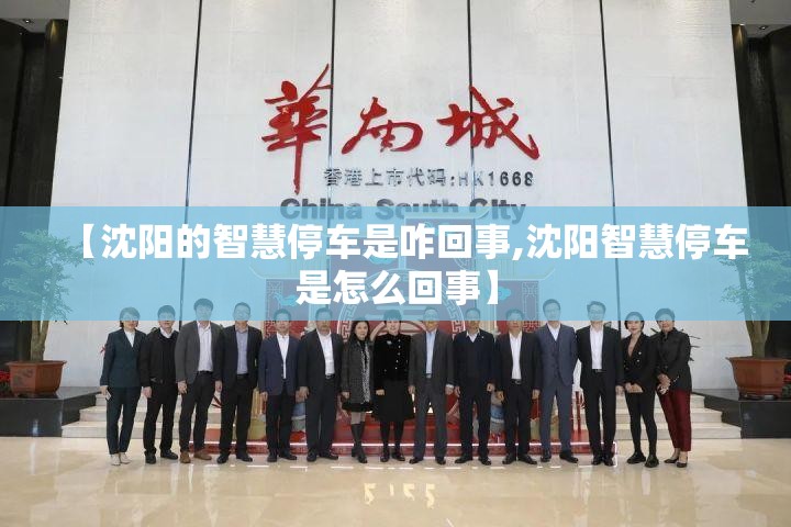 【沈阳的智慧停车是咋回事,沈阳智慧停车是怎么回事】