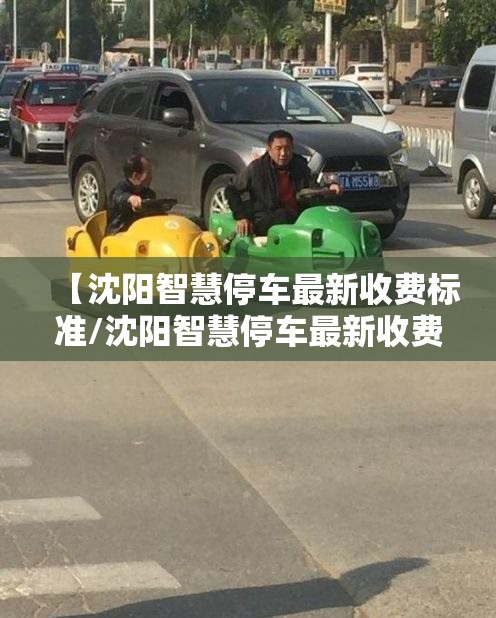 【沈阳智慧停车最新收费标准/沈阳智慧停车最新收费标准是多少】