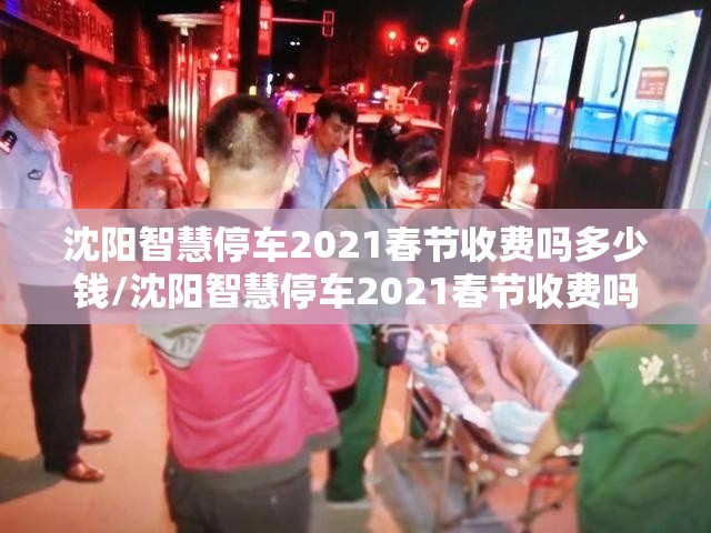 沈阳智慧停车2021春节收费吗多少钱/沈阳智慧停车2021春节收费吗