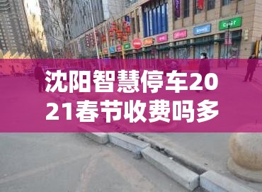 沈阳智慧停车2021春节收费吗多少钱/沈阳智慧停车2021春节收费吗