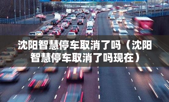 沈阳智慧停车取消了吗（沈阳智慧停车取消了吗现在）