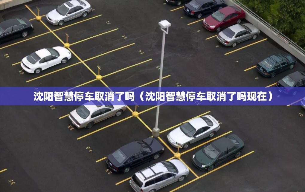 沈阳智慧停车取消了吗（沈阳智慧停车取消了吗现在）