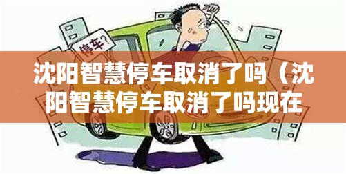 沈阳智慧停车取消了吗（沈阳智慧停车取消了吗现在）
