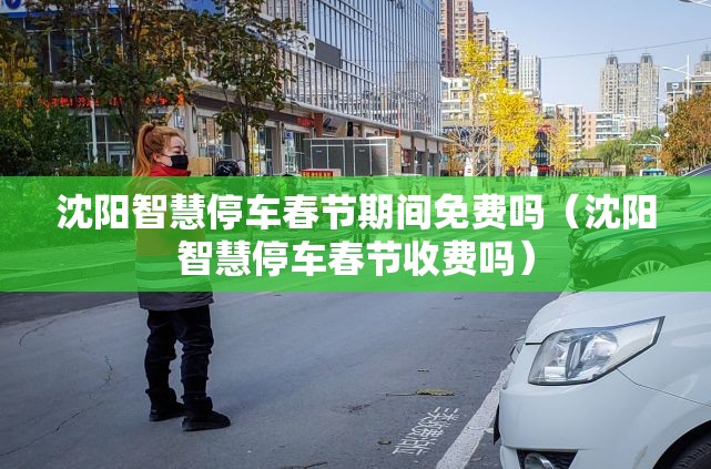 沈阳智慧停车春节期间免费吗（沈阳智慧停车春节收费吗）