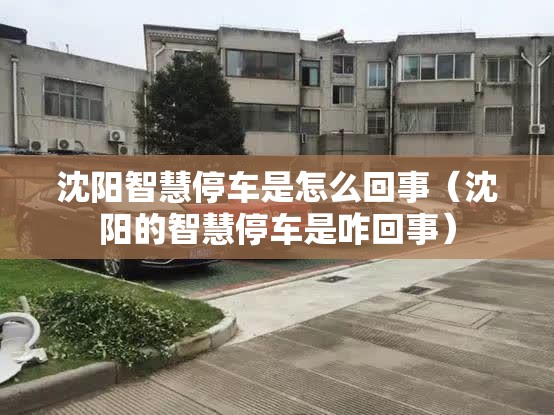 沈阳智慧停车是怎么回事（沈阳的智慧停车是咋回事）