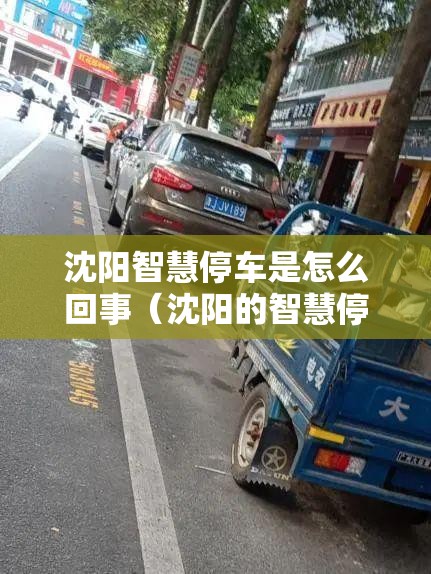 沈阳智慧停车是怎么回事（沈阳的智慧停车是咋回事）