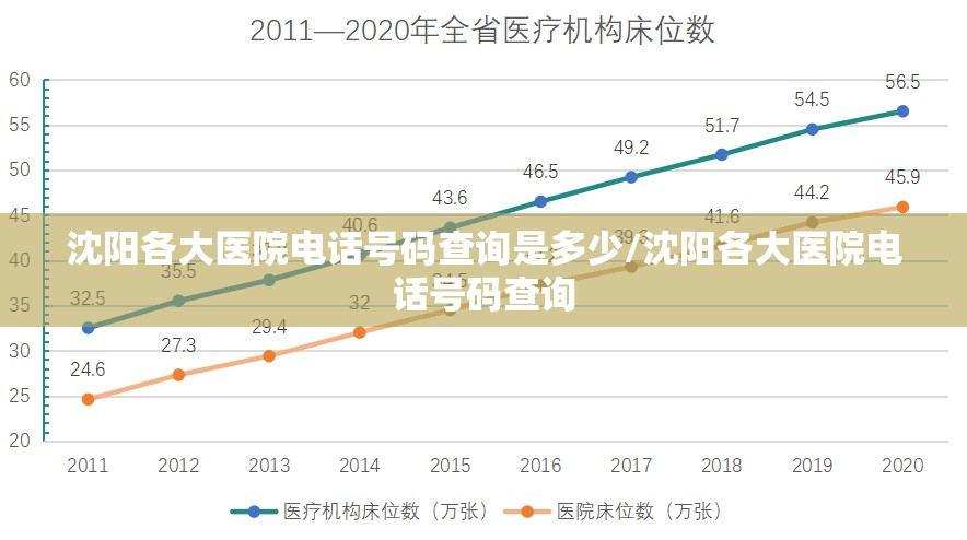 沈阳各大医院电话号码查询是多少/沈阳各大医院电话号码查询