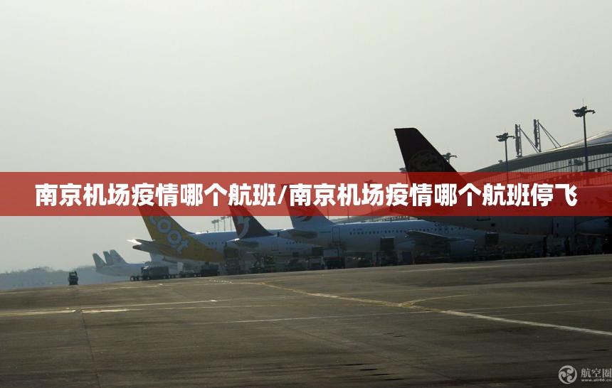 南京机场疫情哪个航班/南京机场疫情哪个航班停飞
